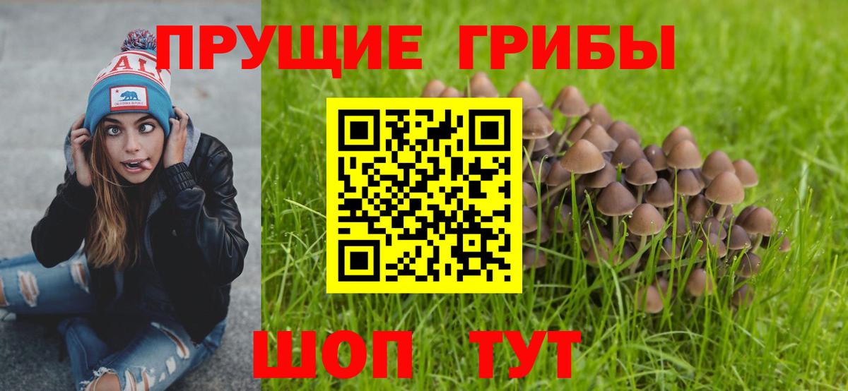 Галлюциногенные грибы мухоморы Соликамск