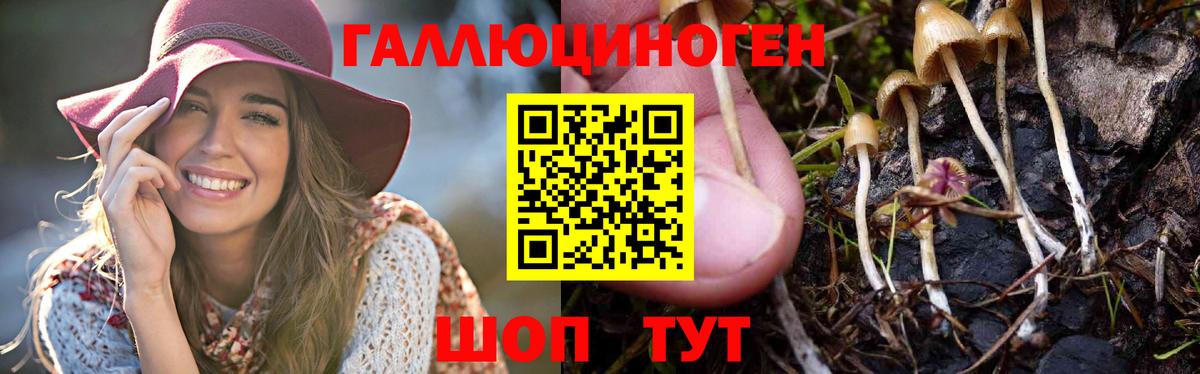 Соликамск  Галлюциногенные грибы ЛСД  Вход с VPN 